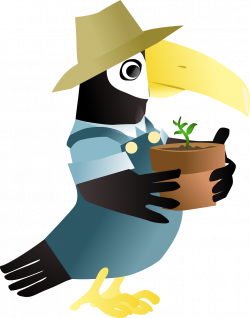 Free Image on Pixabay - Toucan, Garden, Gardener, Plant | Animal
