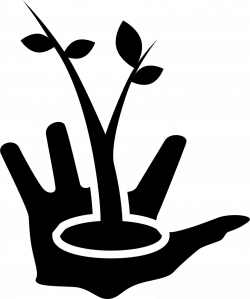 Gardener Hand With A Growing Plant On It Svg Png Icon Free Download ...