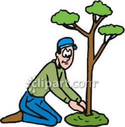 A Gardener Planting a Tree Royalty Free Clipart Picture