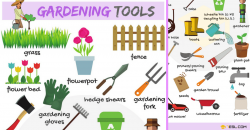 Gardening Tools: Names, List with Useful Pictures - 7 E S L