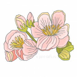 Розовый цветок PNG, скачать клипарт | Иллюстрации и плакаты | Pinterest