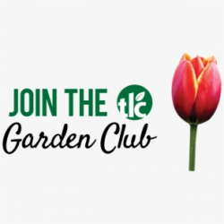 Gardening Clipart Garden Center - Tulip #71639 - Free ...