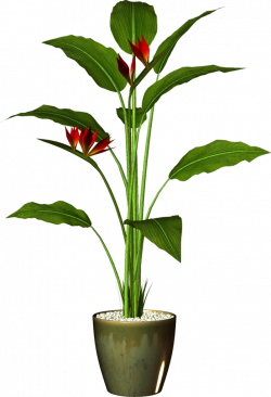 Garden Pot Plant (59).png | Pinterest | Potted flowers, Clip art and ...