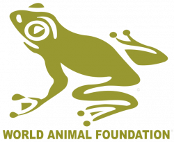 Animal Fact Sheets - World Animal Foundation | ocean life ...