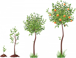 tubes arbres / arbustes / feuillages | Clipart trees and leaves ...