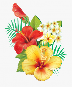 Hibiscus Clipart Garland - Hawaiian Tropical Flower Png ...