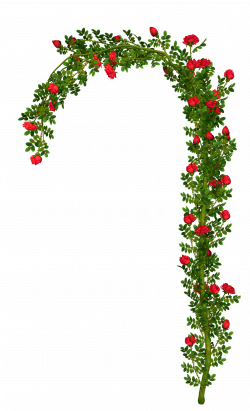 Arch clipart flower arch #901405 - free Arch clipart flower arch ...