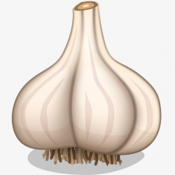 A Garlic, Garlic, Cartoon, Food PNG Image and Clipart for Free Download