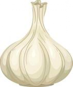 Garlic Clove Clip Art - Royalty Free - GoGraph