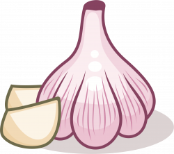 Clipart - Garlic (#3)