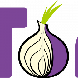 Risks of Tor use inside a network - how to block Tor in business ...