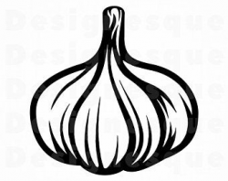 Garlic clipart | Etsy