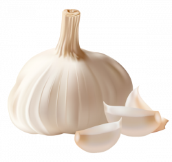 Garlic Clipart PNG Picture | darzeni | Pinterest | Garlic and Clip art