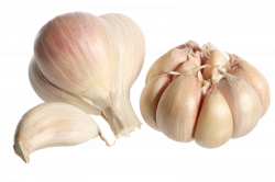 Garlic PNG Photo | PNG Names
