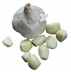 Garlic Cloves PNG Images - PngPix