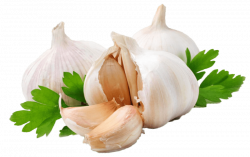 garlic png - Free PNG Images | TOPpng