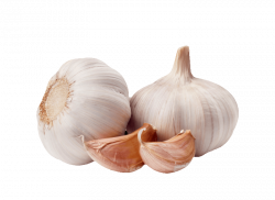 Garlic Clip art - onion 800*585 transprent Png Free Download ...