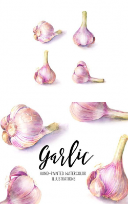 Garlic clipart #garlic | Watercolor Graphic Design in 2019 ...