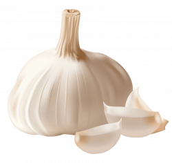 garlic png - Free PNG Images | TOPpng