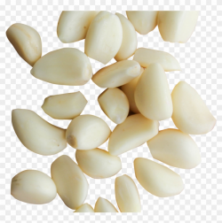 Peeled Garlic Cloves Png Image - Transparent Gravel Png, Png ...