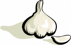 Public Domain Clip Art Image | garlic | ID: 13931848225443 ...