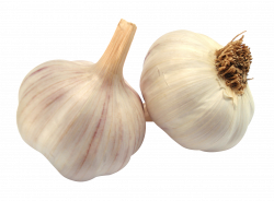 Garlic PNG Image - PurePNG | Free transparent CC0 PNG Image Library