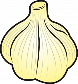 Clipart - Garlic (#2)