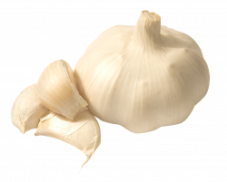 Garlic PNG Image Without Background | Web Icons PNG