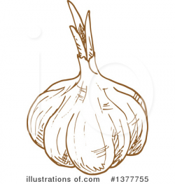 Garlic Clipart #1377755 - Illustration by Vector Tradition SM