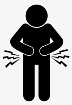 Stomach PNG Images | PNG Cliparts Free Download on SeekPNG
