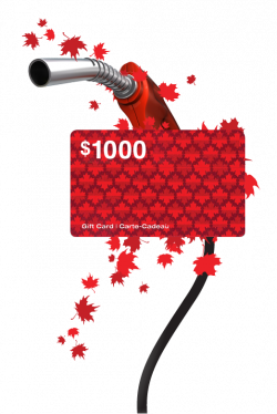 TeamBuy Canada Contest: Win 1 of 2 $1000 Petro-Canada Gift Cards ...