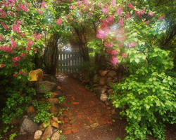Garden Gate Clip Art Free N2 free image