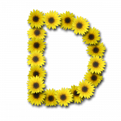 Capital-Letter-D1-Sunflower.png (1200×1200) | D for Debbie ...