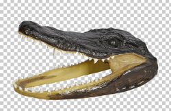 Nile Crocodile Alligators Polyresin Gator Head PNG, Clipart ...
