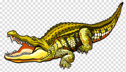 Green crocodile , Nile crocodile Alligator Saltwater ...