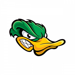 Printed vinyl Angry Duck | Stickers Factory