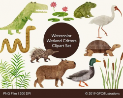 Wetlands Animals Watercolor Clipart, Cute Swamp Animals, Nursery Decor,  Wetland Critters Clipart, Alligator, Frog, Watercolor Clipart