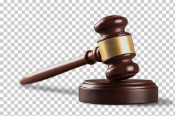 Lawyer Gavel Lawsuit Criminal Law PNG, Clipart, Advocate ...
