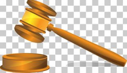 Gavel Judge Robert's Rules Of Order PNG, Clipart, Court ...