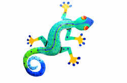 Colorful Lizard 1 PSD File by annamae22 on DeviantArt