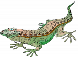 Monitor Lizard Clipart at GetDrawings.com | Free for personal use ...