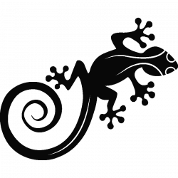 Sticker Lézard Gecko pour votre voiture | Pinterest | Geckos ...