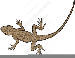Gecko Clipart | Free Images at Clker.com - vector clip art ...