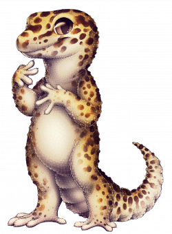 Gecko paintie help - Furvilla