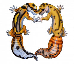 Leopard Gecko Love by Dogthatkills on DeviantArt