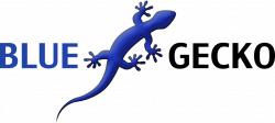 Blue Gecko Web Design |