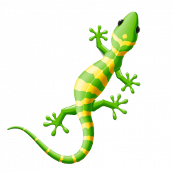 Lizard Reptile Gecko Clip art - Creative 3D gecko 1024*1024 ...