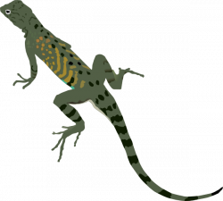 Green Black Lizard Clip Art at Clker.com - vector clip art online ...