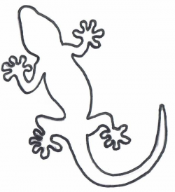 Gecko Drawing Template | Free download best Gecko Drawing ...