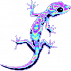 lizard reptile holo holographic freetoedit...